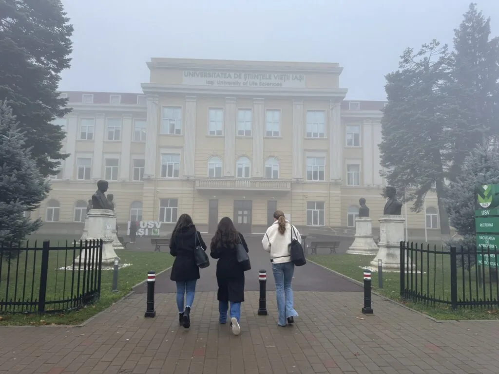 Cele mai exigente sisteme educaționale din lume: presiunea academică atinge niveluri alarmante.