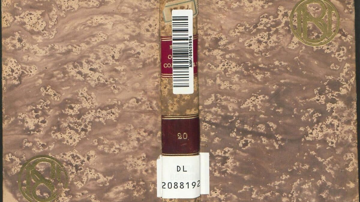 accident mortal San Jose