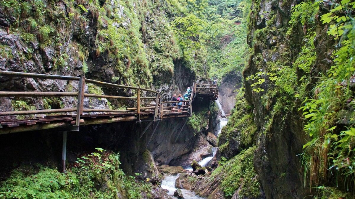 instrumente nesterile spital