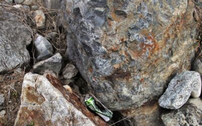 FDA găsește bacterii periculoase în 15 loturi de lapte praf pentru sugari