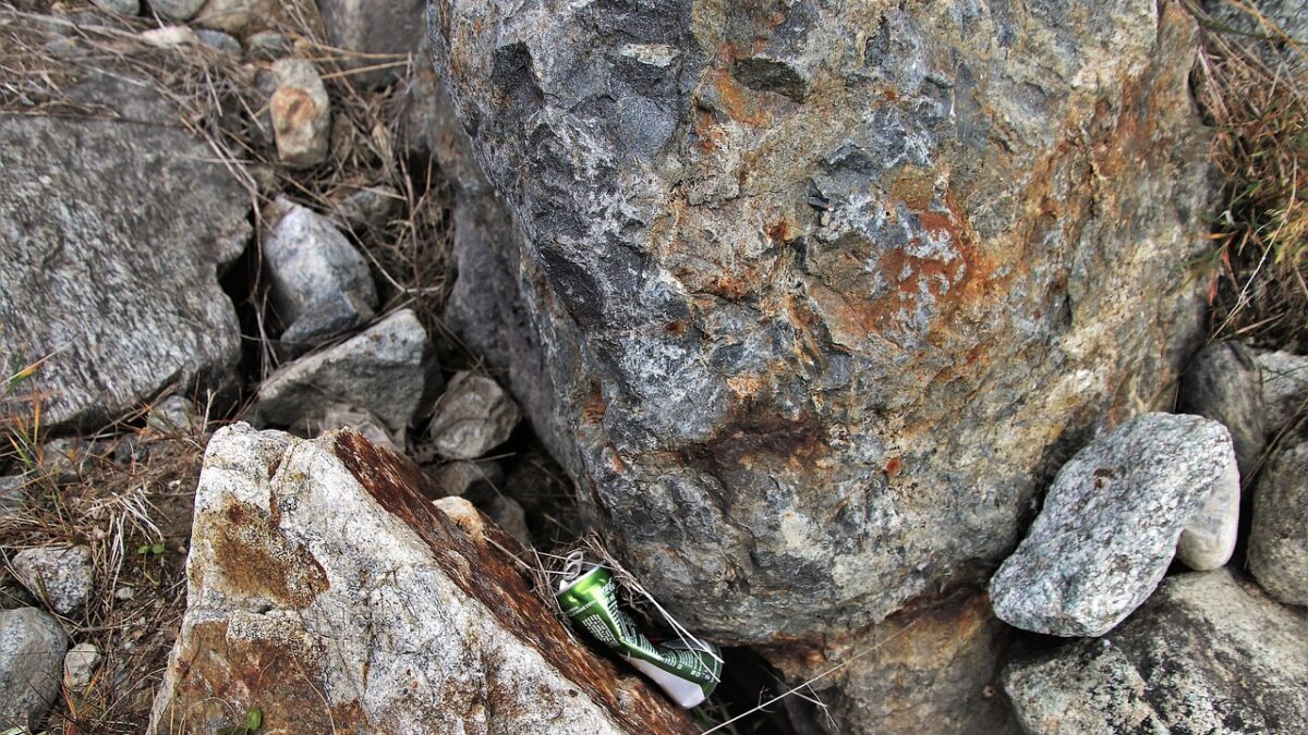 lapte praf contaminate bacterii