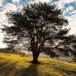 Padelul explodează în România urmând trendul din Irlanda de Nord