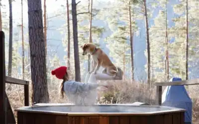 Pat pentru câini de 599 lire: noua obsesie a stăpânilor