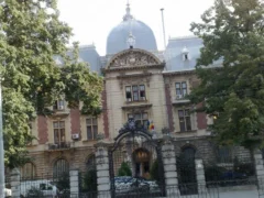 Facturi de 125 milioane lei plătite de stat. Ce se întâmplă cu prețurile la raft