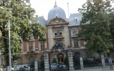 Facturi de 125 milioane lei plătite de stat. Ce se întâmplă cu prețurile la raft