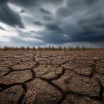 ANM a emis coduri galben și portocaliu până pe 23 iulie în sudul și estul țării