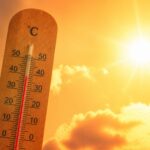 Canicula poate crește riscul cardiac chiar și la persoane sănătoase iar decesele legate de căldură au urcat cu peste 50 la sută