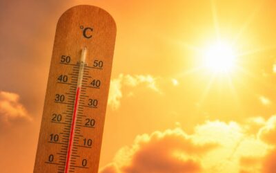 Canicula poate crește riscul cardiac chiar și la persoane sănătoase iar decesele legate de căldură au urcat cu peste 50 la sută