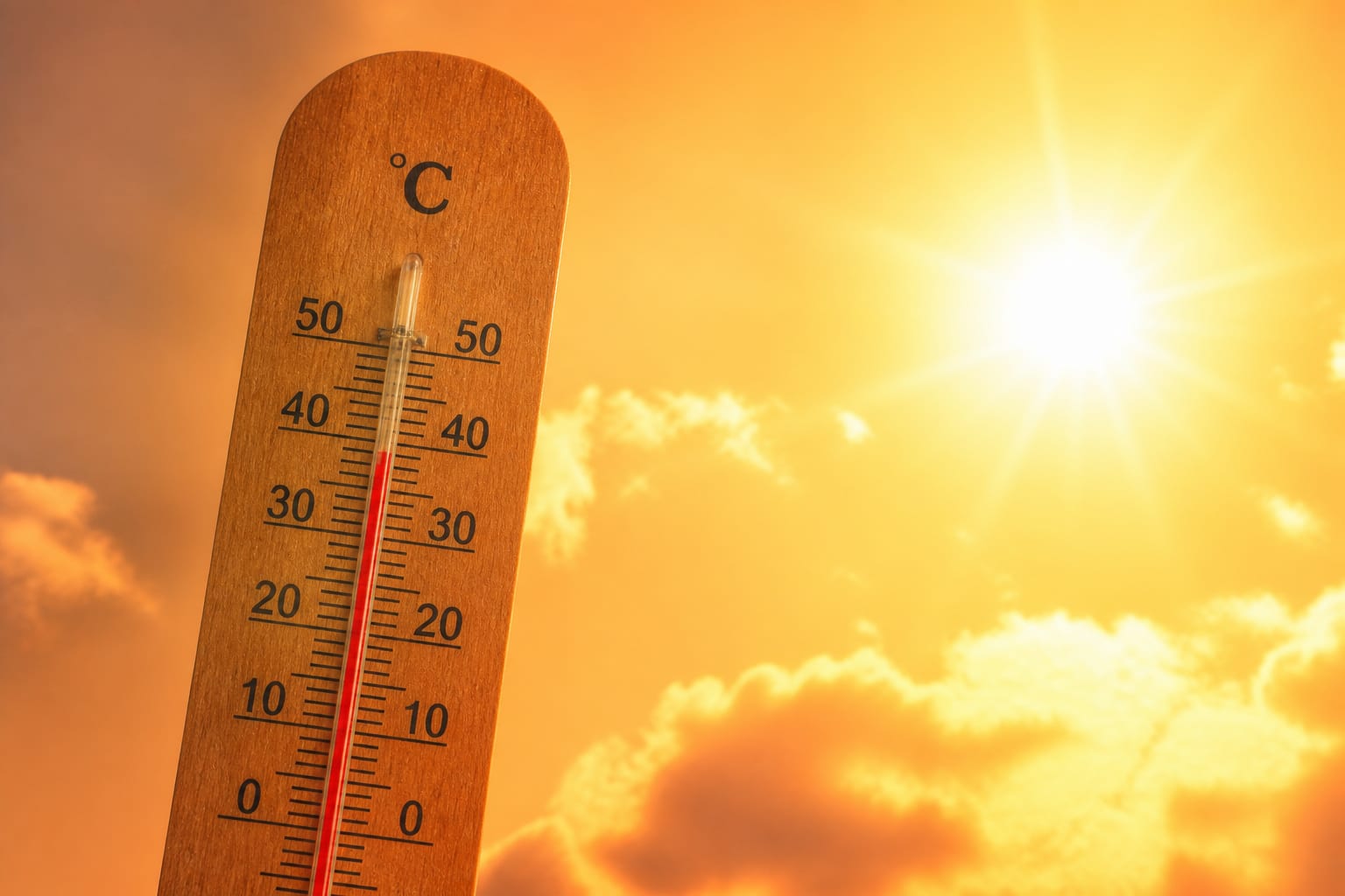 Canicula poate crește riscul cardiac chiar și la persoane sănătoase iar decesele legate de căldură au urcat cu peste 50 la sută