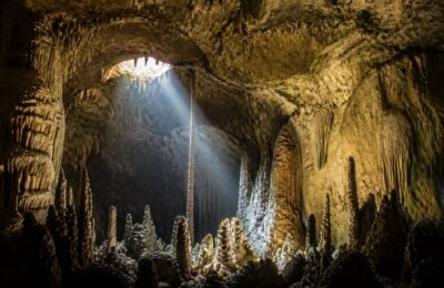 Cea mai mare peșteră din lume are propriul ecosistem și a fost descoperită din întâmplare