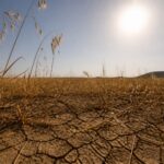 România intră într-un val de caniculă cu maxime de 39 de grade în jurul datei de 5 august