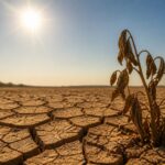 Un val de căldură aduce temperaturi de până la 39 de grade și nopți tropicale în România