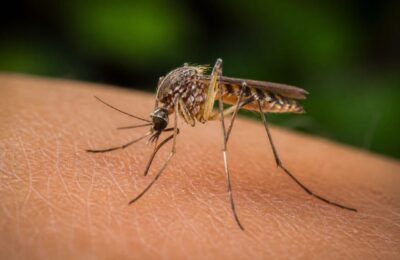 Virusul West Nile a ajuns la 48 de cazuri în SUA până la 30 iunie, iar 38 au fost forme grave