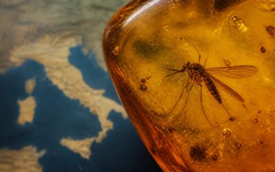 Virusul West Nile s-a extins în Europa, iar Italia a raportat 13 decese