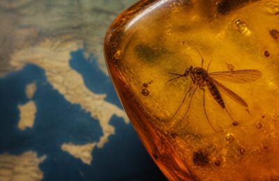 Virusul West Nile s-a extins în Europa, iar Italia a raportat 13 decese