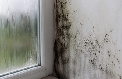 Mucegaiul din locuințe este asociat cu probleme respiratorii la copii