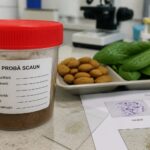 Un studiu explică de ce alimente considerate sănătoase pot agrava bolile intestinale inflamatorii