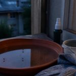 România a raportat 58 de cazuri de West Nile și 3 decese între 3 iunie și 2 septembrie