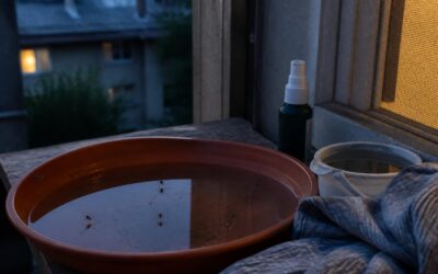 România a raportat 58 de cazuri de West Nile și 3 decese între 3 iunie și 2 septembrie
