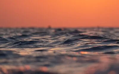 El Niño depășește noi recorduri în Pacific înaintea vârfului prognozat pentru decembrie