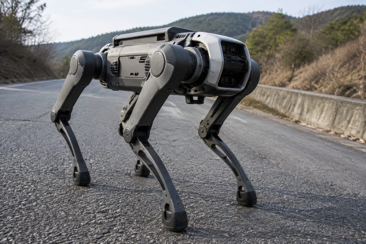 Robotul patruped RAIBO2 pe asfalt